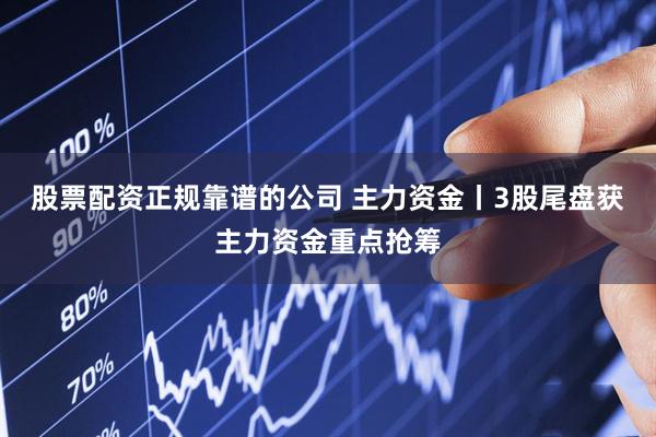 股票配资正规靠谱的公司 主力资金丨3股尾盘获主力资金重点抢筹